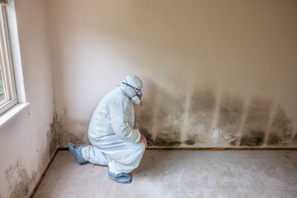 Best Biohazard Mold Removal  in East Sandwich, MA